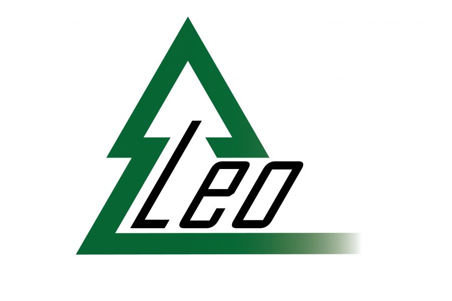Продаю: Логотип LEO -   товар id:9433