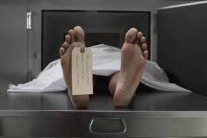 e86fa887c7c5997508d9305a7b9bb3da.jpg_760x400