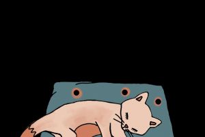 B51BB235-2C60-4764-AE6F-0CEEB5B90084