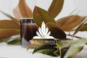 jennie-qVVO7tdL4b4-unsplash