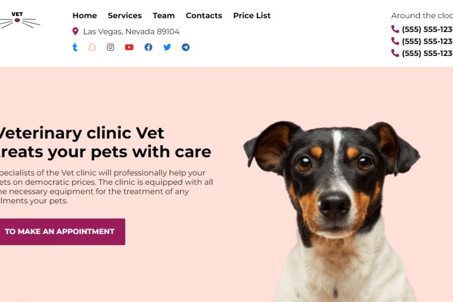 Продаю: Тема WordPress "Vet" для сайта ветеринарной клиники -   товар id:9685