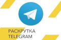 1000 живых подписчиков на ваш канал или группу в Telegram