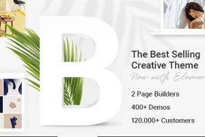 bridge-29-5-nulled-creative-multipurpose-wordpress-theme