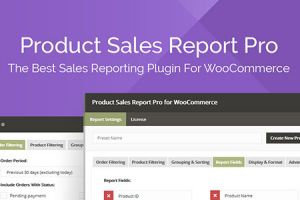 product-sales-report-pro-for-woocommerce-2-2-38 (1)