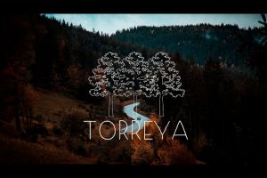 Screenshot_20230717-121822_Gallery