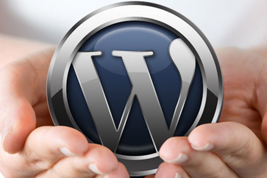 Разработка сайтов на WordPress 35 000 руб. за 14 дней.. Жан Швец