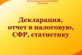 Декларация, отчет в налоговую, СФР, статистику