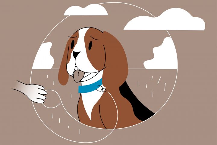 Векторная иллюстрация для вашего сайта, мобильного приложения - 1890419