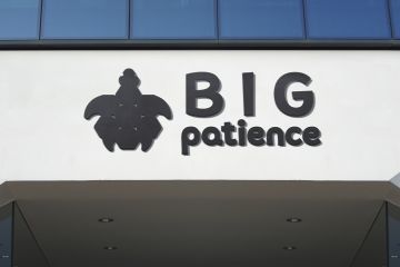 Логотип в виде силуэта черепахи