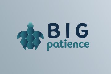 Логотип в виде силуэта черепахи