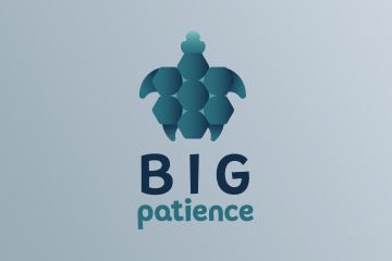 Логотип в виде силуэта черепахи