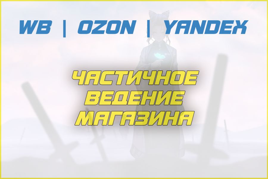 Частичное ведение магазина 19 990 руб.  за 30 дней.. Андрей Кабанов