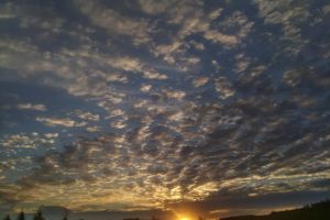 IMG_20220904_180833 (1)