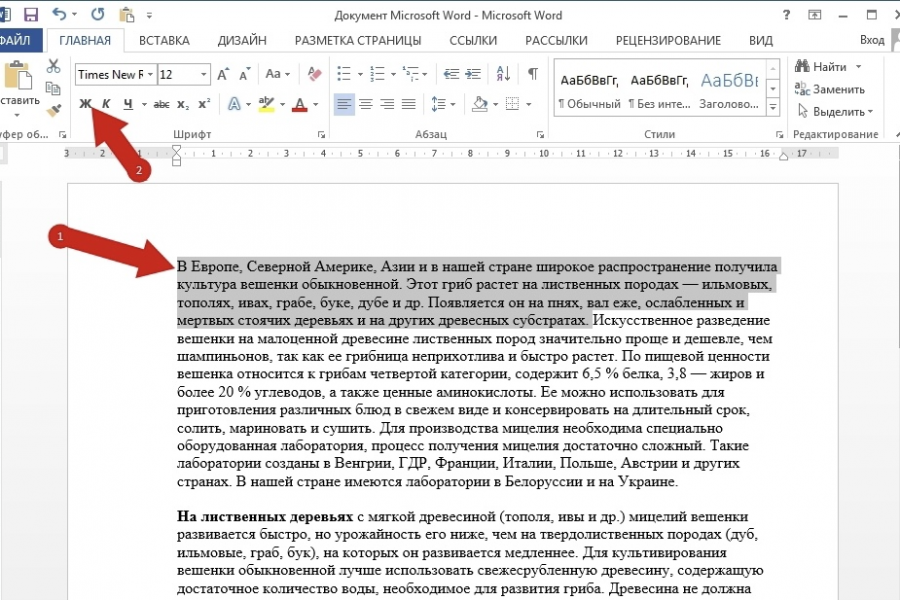 Расшифровка аудио/видеозаписей 500 руб.  за 1 день.. Савелий Распопов