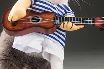 напишу песню на любую тему