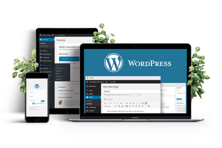 Сайт на WordPress - 1909972