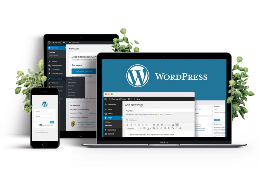 Сайт на WordPress 10 000 руб.  за 5 дней.. Денис Савельев