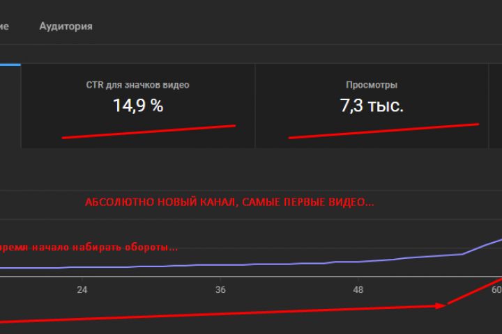 Увеличение живых просмотров и подписчиков | YouTube Продюсирование - 1910029
