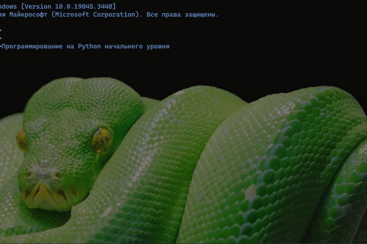 Программы на python начального уровня - 1915314