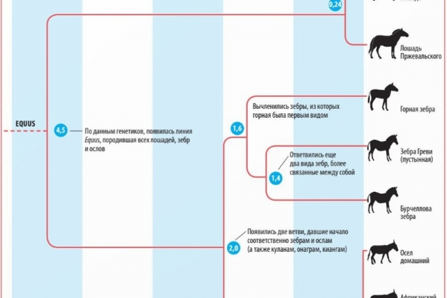 Написание статьи 500 руб.  за 3 дня.. Соловьёва Екатерина