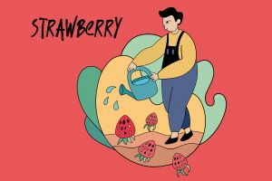 strawberry