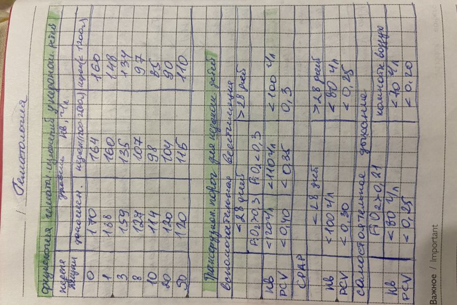 Напишу за вас конспекты от руки 40 руб.  за 2 дня.. Юлия Коцофан