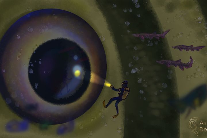 Иллюстрации любой сложности - 1940173