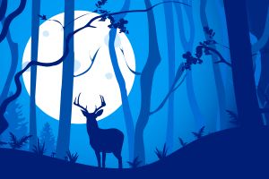 Night-moon-landscape-with-a-deer-in-the-forest