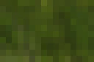 HiPaint_1700932642639