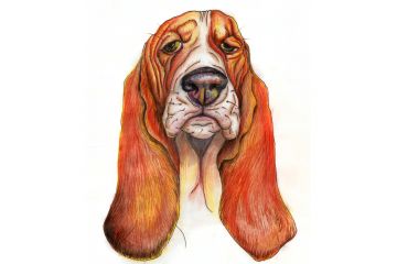 Иллюстрация Взгляд умиротворения