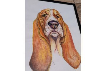 Иллюстрация Взгляд умиротворения