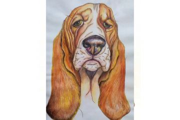 Иллюстрация Взгляд умиротворения