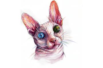 Иллюстрация Воплощение Мистики