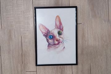 Иллюстрация Воплощение Мистики