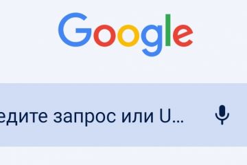Поиск интересующей вас информации для доклада или эссе