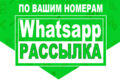 Рассылка WhatsApp в личные сообщения