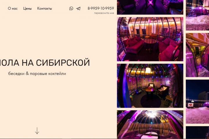 Лендинг на Тильде (быстрый запуск) - 1972030