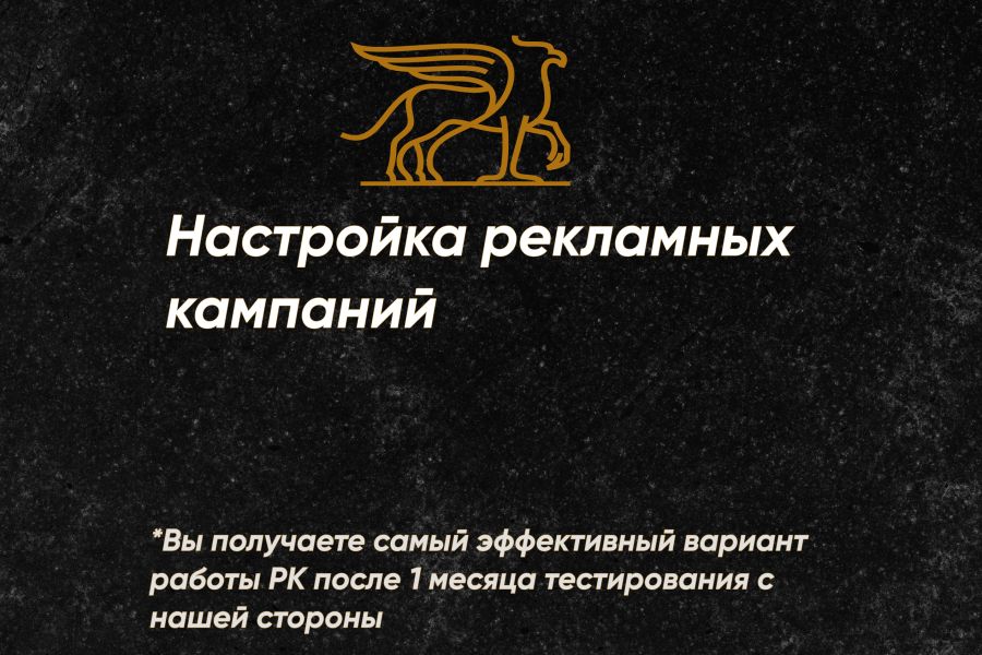 Настройка и оптимизация рекламных кампаний 10 490 руб.  за 1 день.. Андрей Кабанов