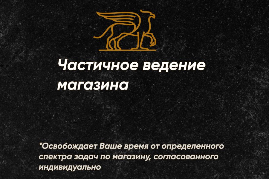 Частичное ведение магазина 19 990 руб.  за 30 дней.. Андрей Кабанов