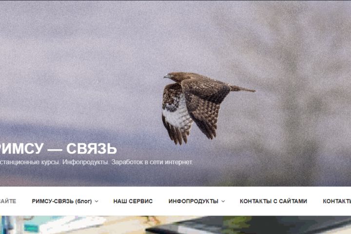 Создам мини -  сайт "под ключ" - 2001766