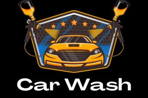 wash car1