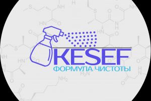 КЕСЕФ