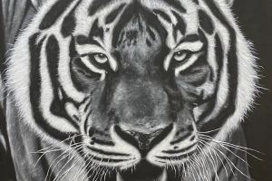 7DF1873B-620D-42C5-8BAE-08DE3A972F52