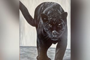 6BB05839-371F-4671-AEAF-E98DFAECFB7F