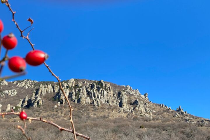 Фотосъемка
