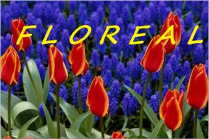 FLOREAL