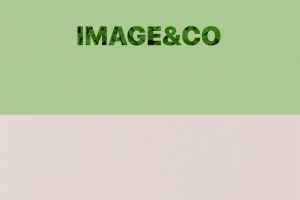 eco cups 3 version