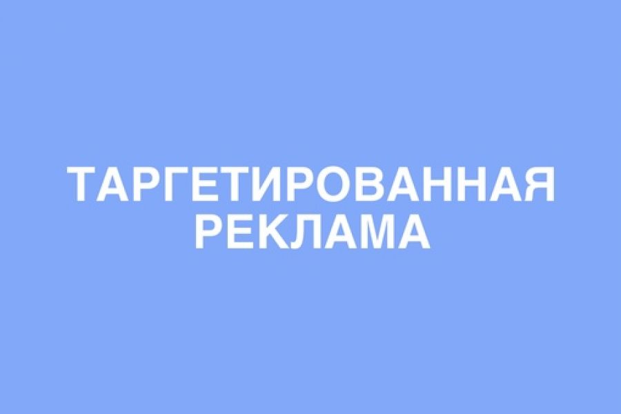 Таргетированная реклама ВК 25 000 руб.  за 30 дней.. Анастасия Рыскельдиева