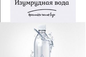 6c2523ad-126d-4010-a114-03dbea6c3f46