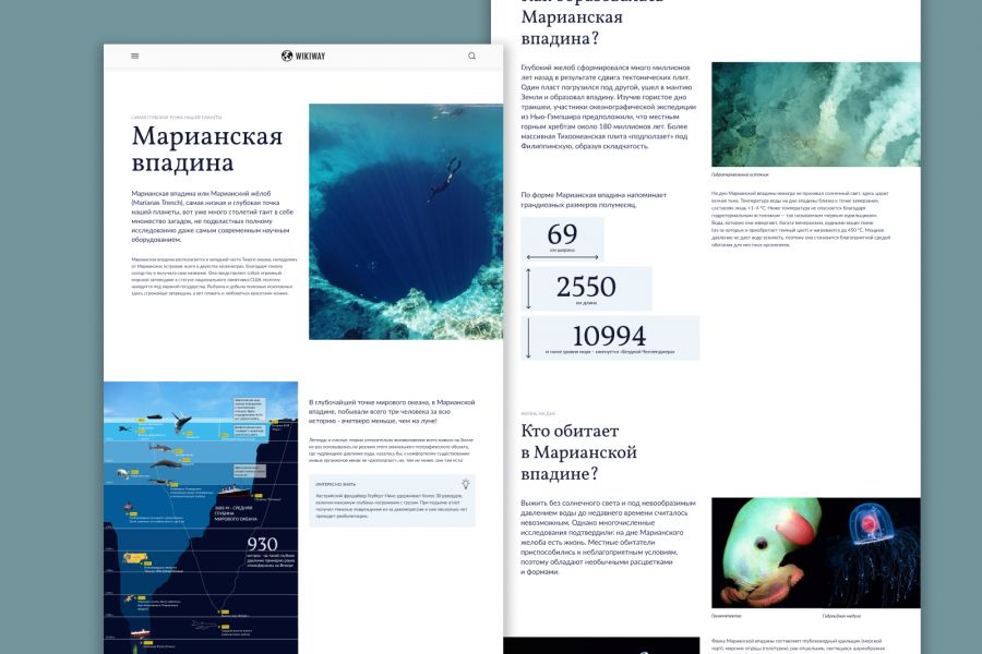 Дизайнов лендингов, сайтов, банеров 5 000 руб. за 7 дней.. Анастасия Бочарова
